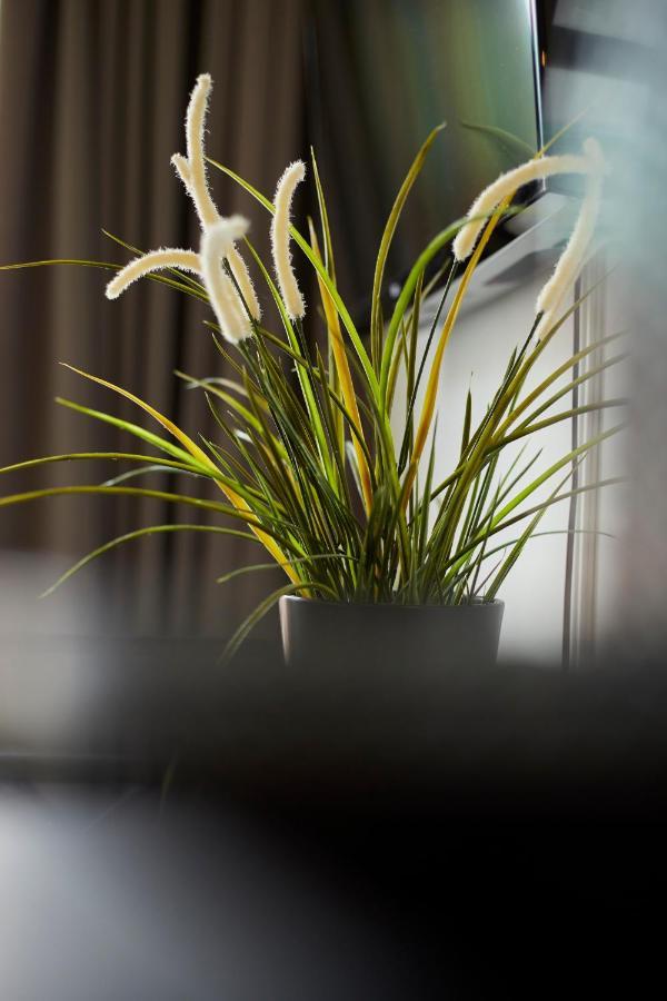 Modern Canal House Loft - City Center Amsterdam Ngoại thất bức ảnh
